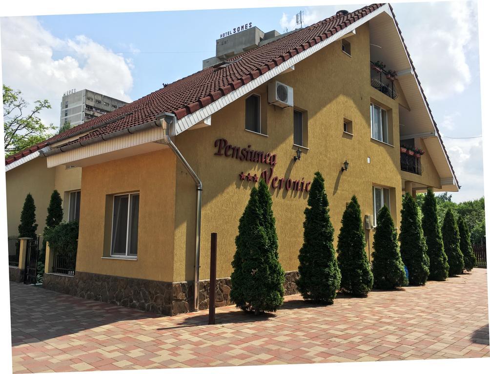 Pensiunea Veronica Băile Felix Exteriér fotografie
